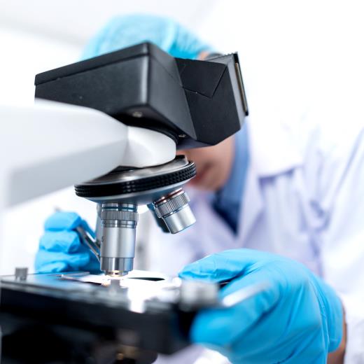 Veteriner Laboratuvar